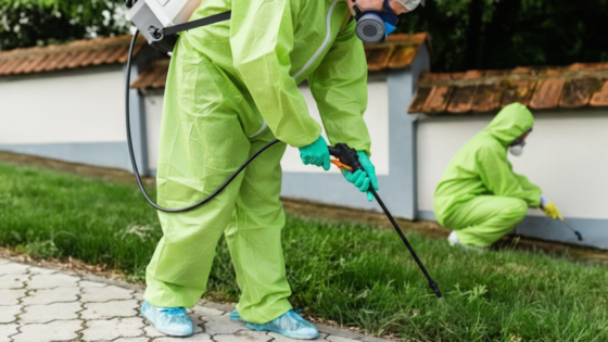 Gemini Generated Image D5e9c5d5e9c5d5e9